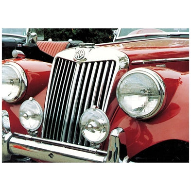 Emblem stang TD-TF (2)